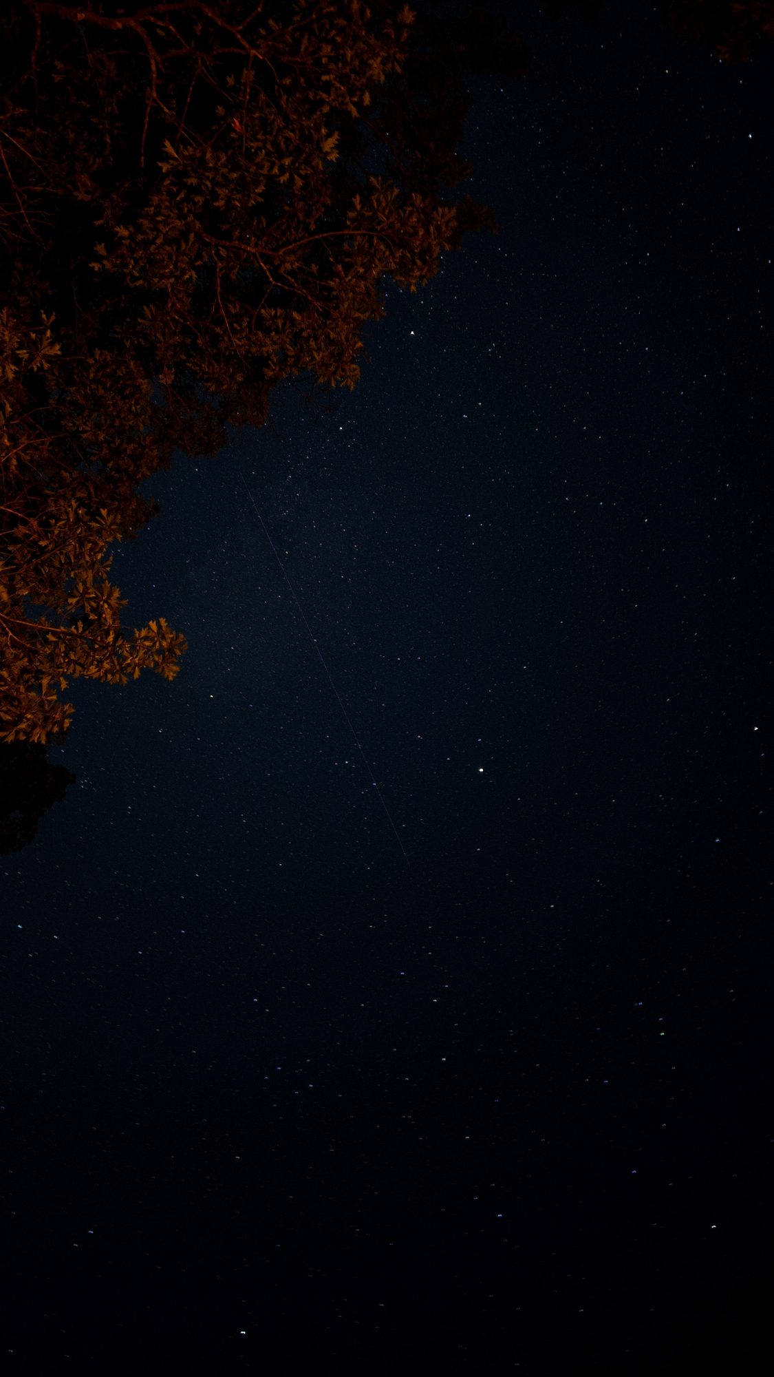 Dense field of stars with a faint satellite trail, framed by amber autumn leaves in the upper corner.
